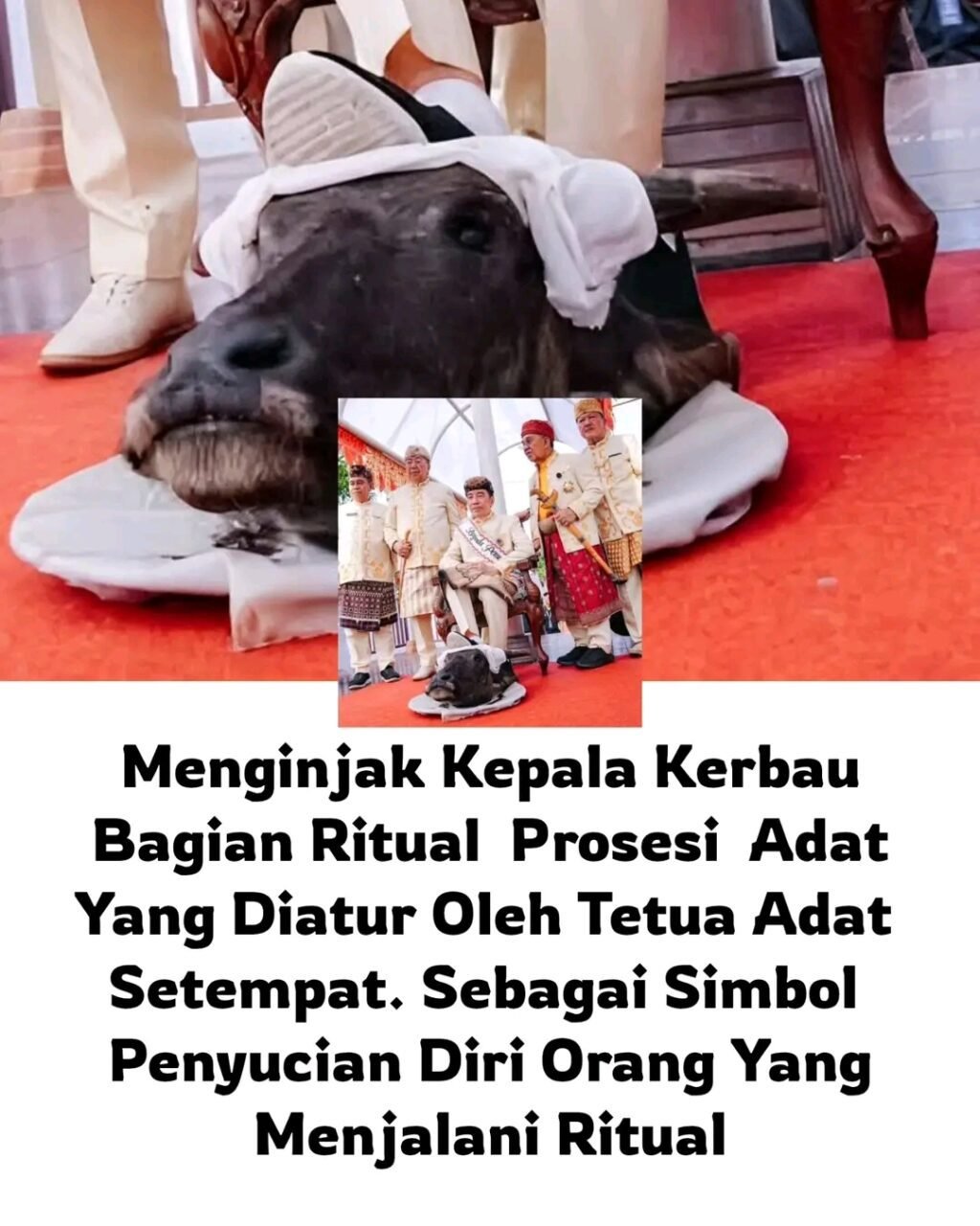 1782615241033